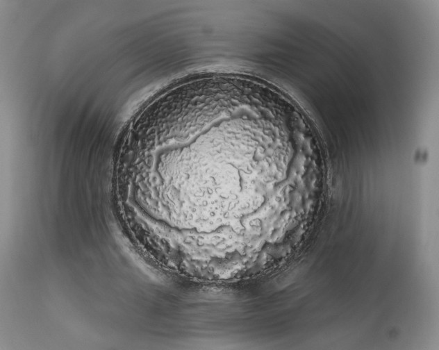 X0000113980437200910021140