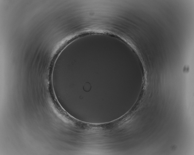 X0000113980438200910021140