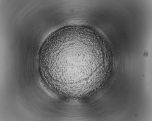 X0000113980439200910021140