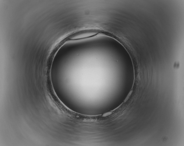 X0000113980440200910021140