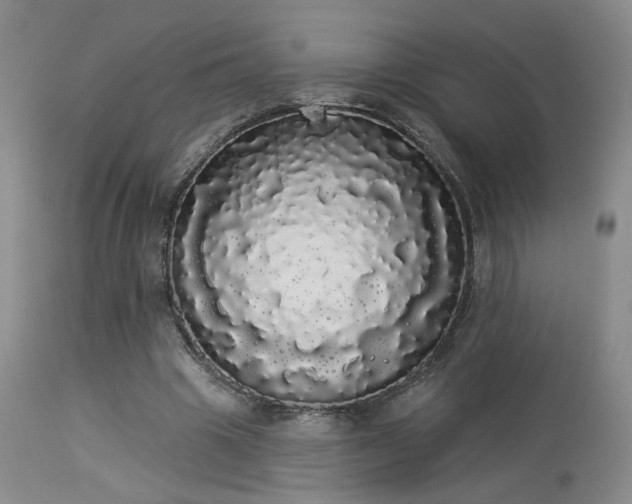 X0000113980441200910021140