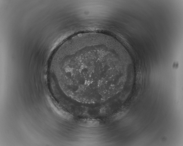 X0000113980443200910021141