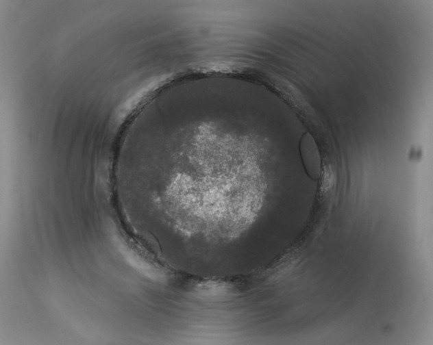 X0000113980444200910021141