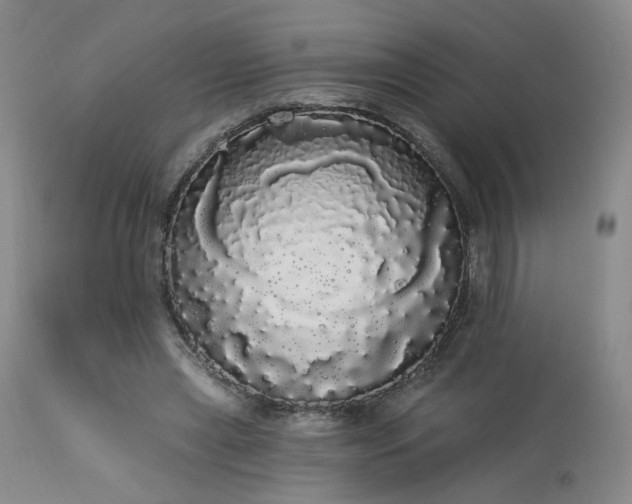 X0000113980445200910021141