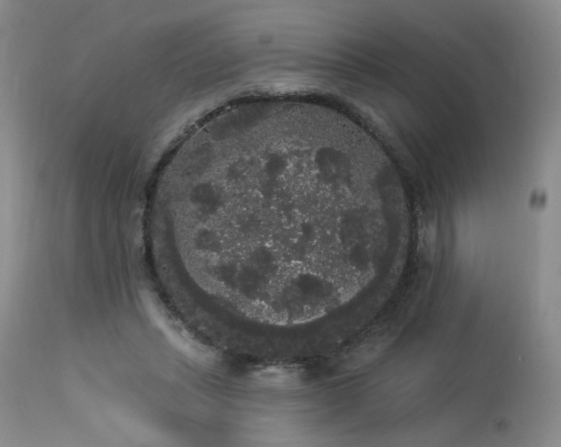 X0000113980447200910021141