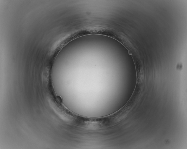 X0000113980448200910021141