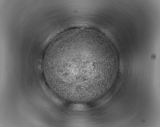 X0000113980449200910021141