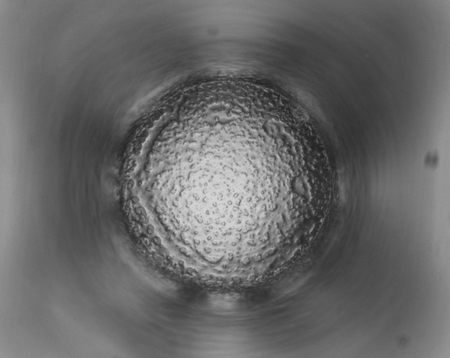 X0000113980450200910021141