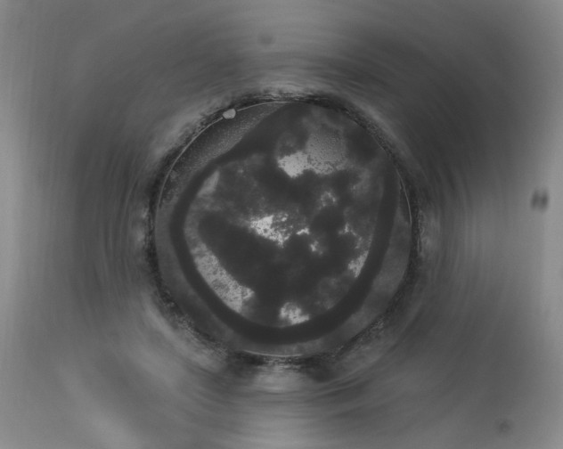 X0000113980451200910021141