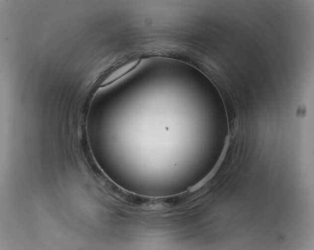 X0000113980452200910021141