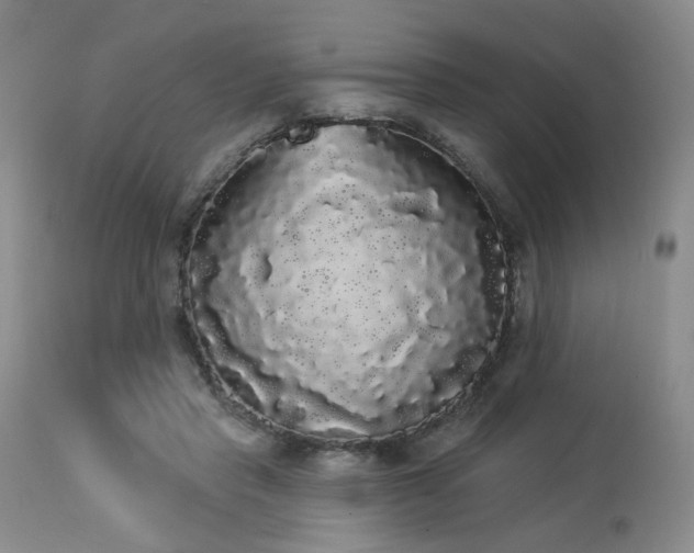 X0000113980453200910021141