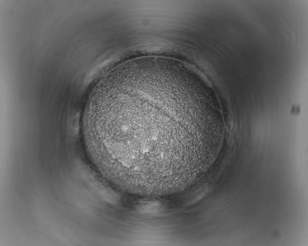 X0000113980454200910021141