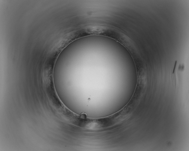 X0000113980460200910021141