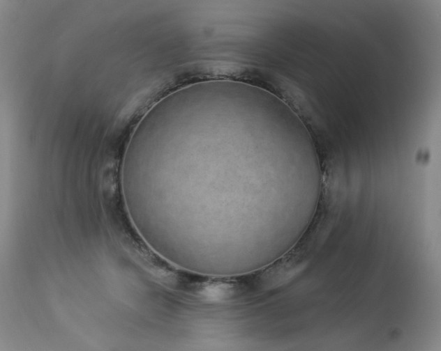 X0000113980462200910021141