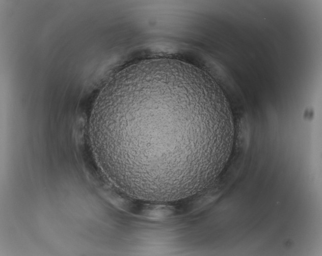 X0000113980463200910021141