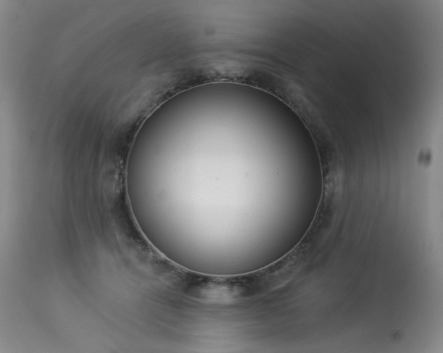 X0000113980464200910021141