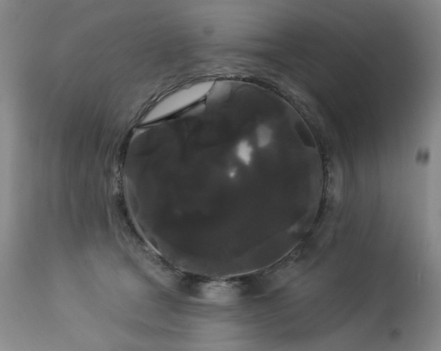 X0000113980465200910021141