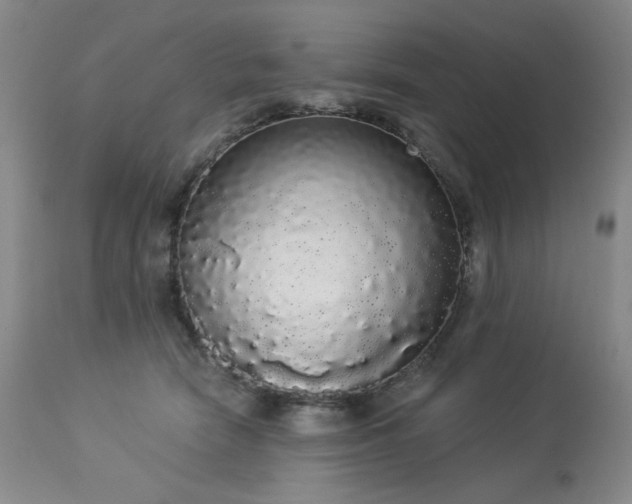 X0000113980466200910021141