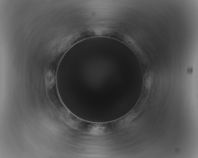 X0000113980471200910021141