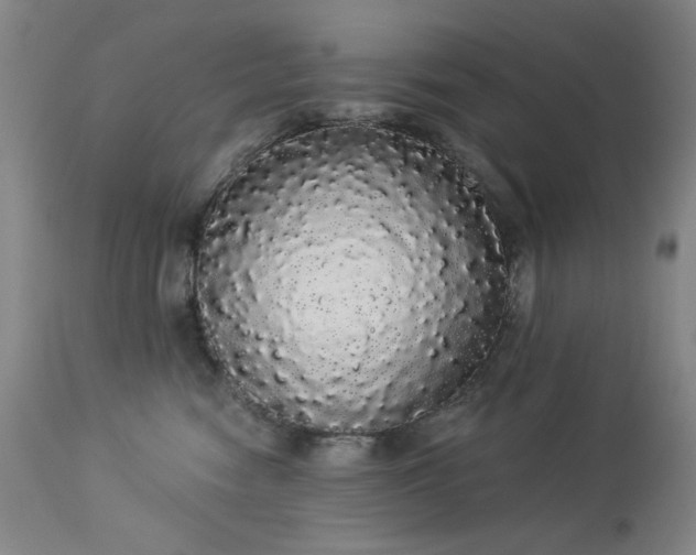 X0000113980474200910021141