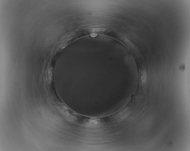 X0000113980475200910021141