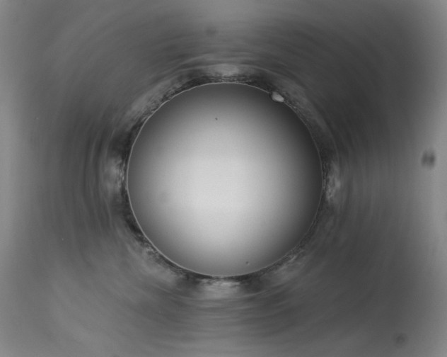 X0000113980476200910021141