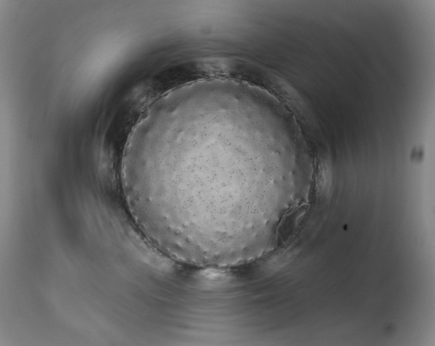 X0000113980477200910021141