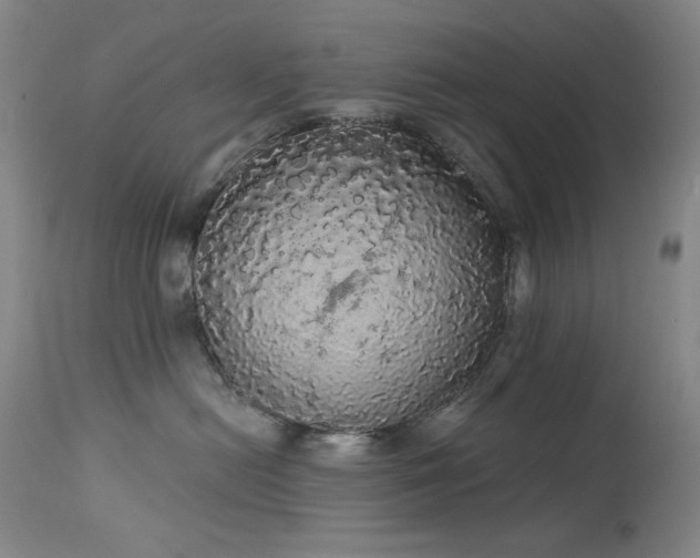 X0000113980478200910021141