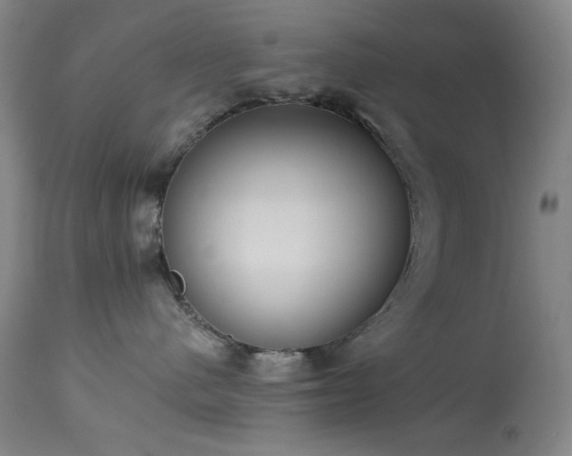 X0000113980480200910021141