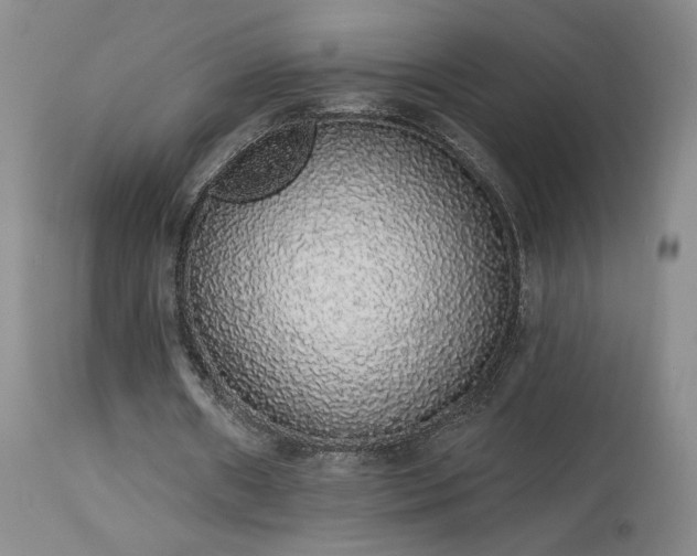 X0000113980482200910021140