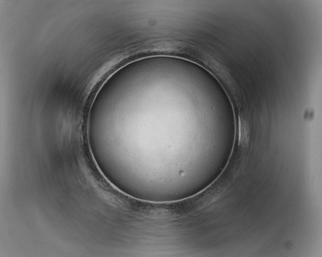 X0000113980483200910021140