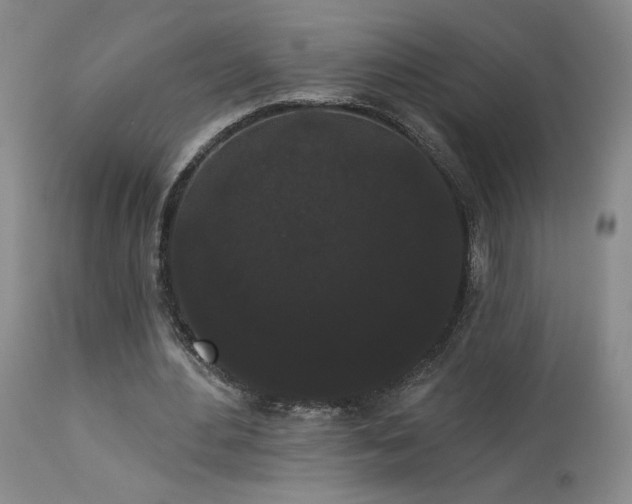 X0000113980484200910021140