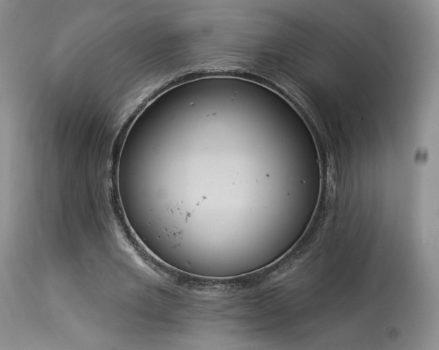 X0000113980485200910021140