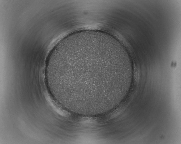 X0000113980486200910021140