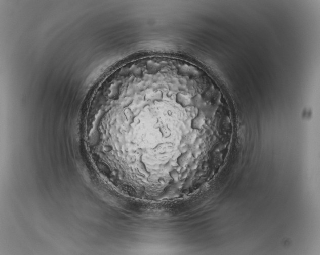 X0000113980487200910021140