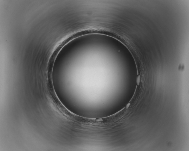 X0000113980488200910021140