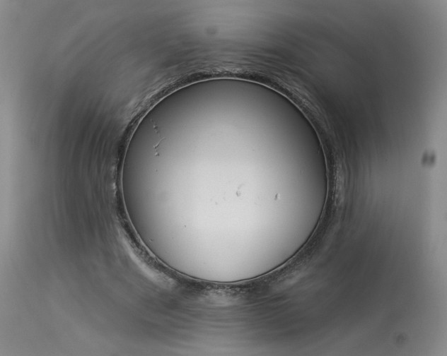 X0000113980489200910021140