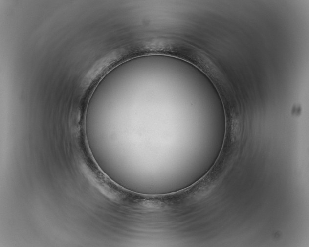 X0000113980490200910021140