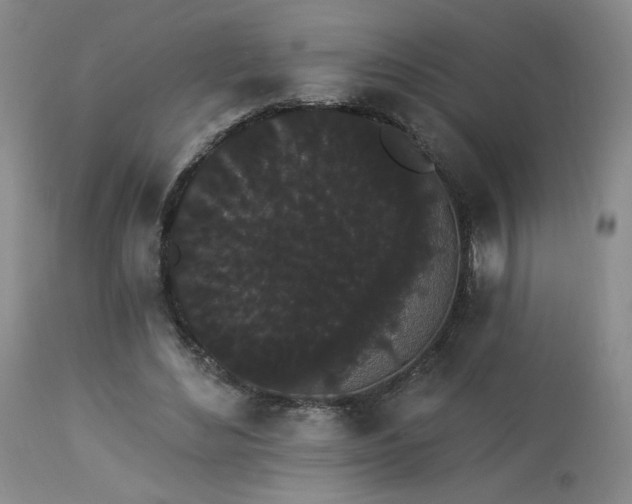 X0000113980492200910021140