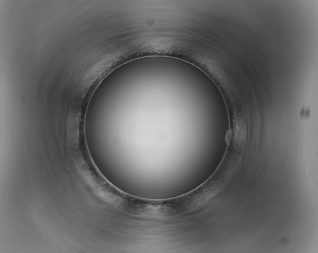 X0000113980493200910021140