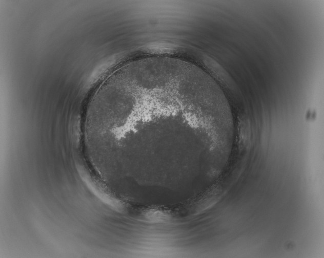 X0000113980494200910021140