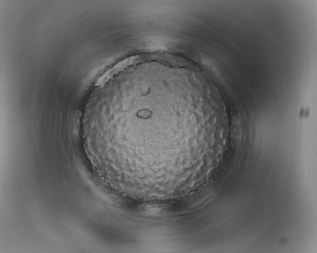 X0000113980495200910021140