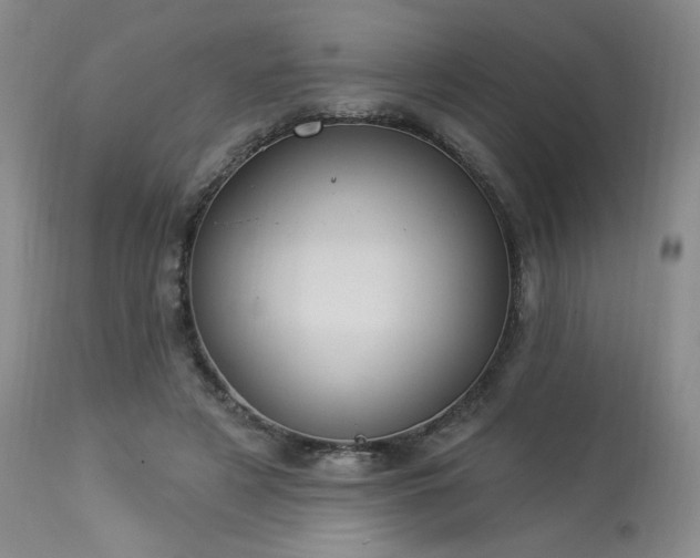 X0000113980497200910021140