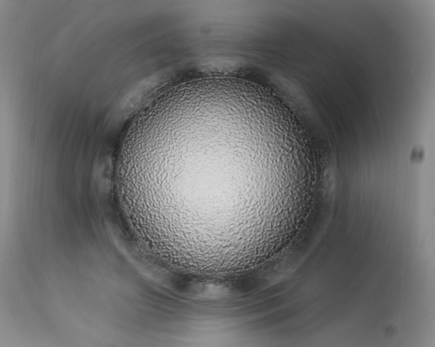 X0000113980498200910021140