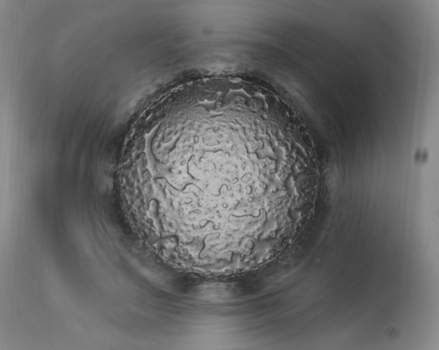 X0000113980499200910021140