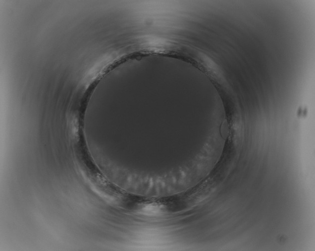 X0000113980500200910021140