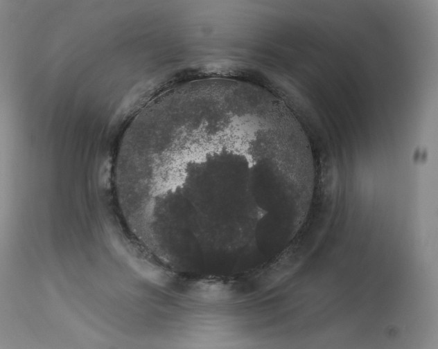 X0000113980502200910021140