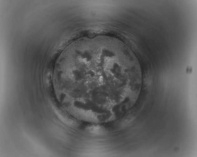 X0000113980503200910021140