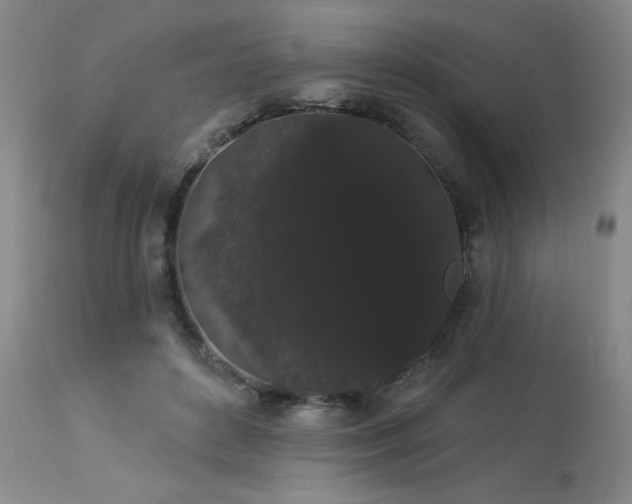 X0000113980504200910021140