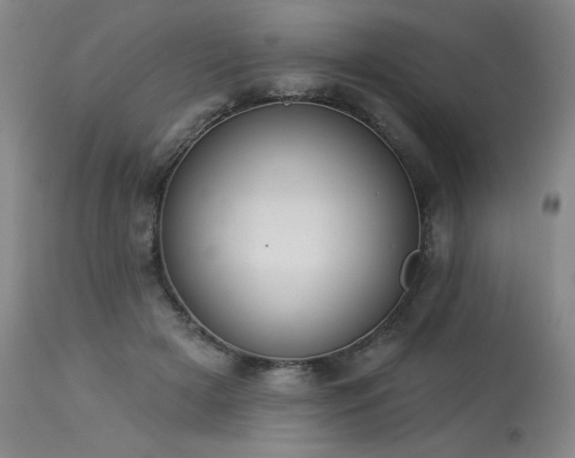 X0000113980505200910021140